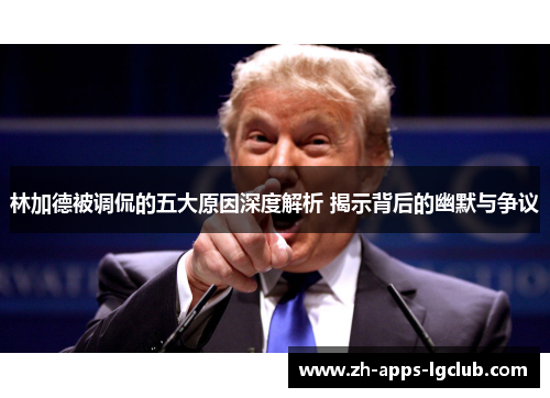 林加德被调侃的五大原因深度解析 揭示背后的幽默与争议 林加德被调侃的五大原因深度解析 揭示背后的幽默与争议