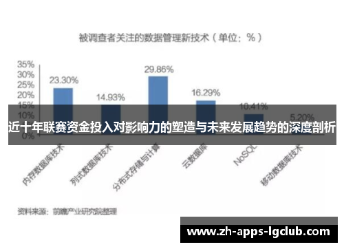 近十年联赛资金投入对影响力的塑造与未来发展趋势的深度剖析