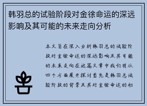 韩羽总的试验阶段对金徐命运的深远影响及其可能的未来走向分析 韩羽总的试验阶段对金徐命运的深远影响及其可能的未来走向分析